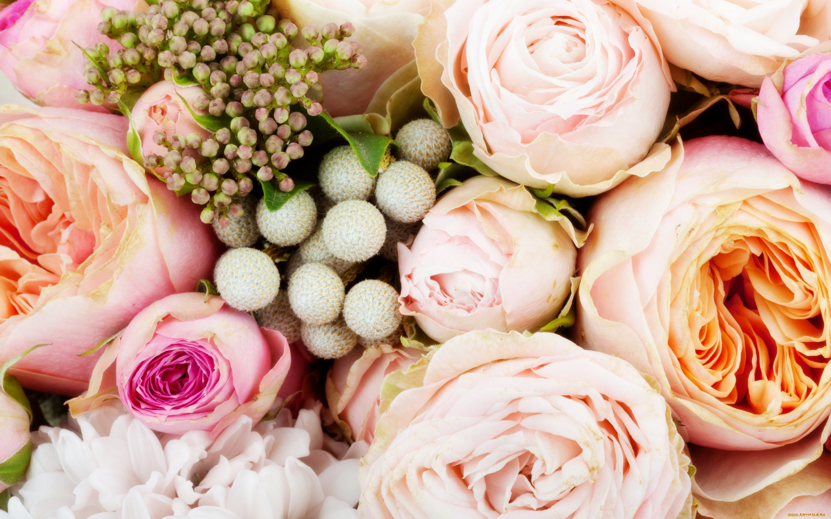 , , roses, flowers, bouquet